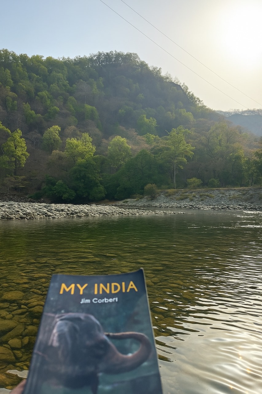 Natural landscape with book by riverside
